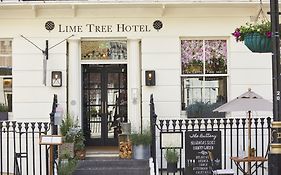 Room Mate Lime Tree